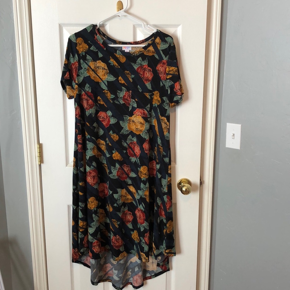 LulaRoe Carly Dress size Medium